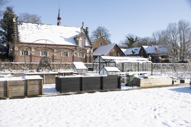 sneeuwbeervelde579van593.jpg