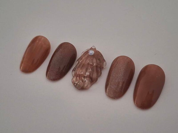 Coquillage