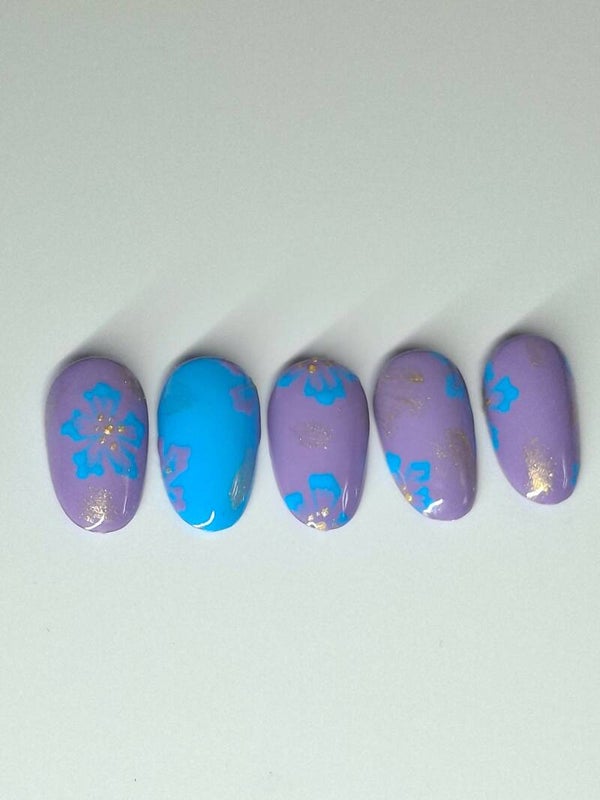 Hibiscus bleu et violet