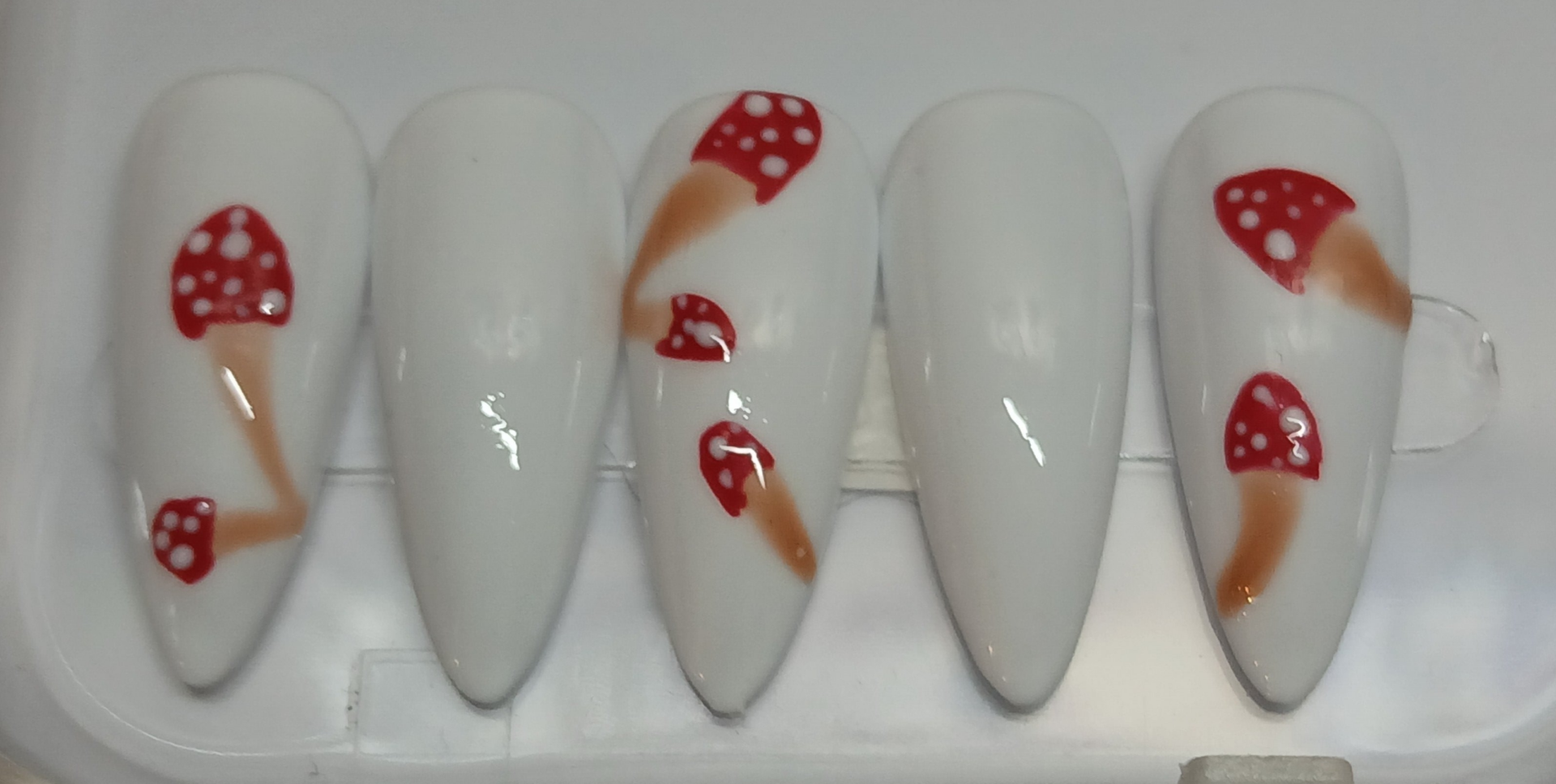 Champignons rouge