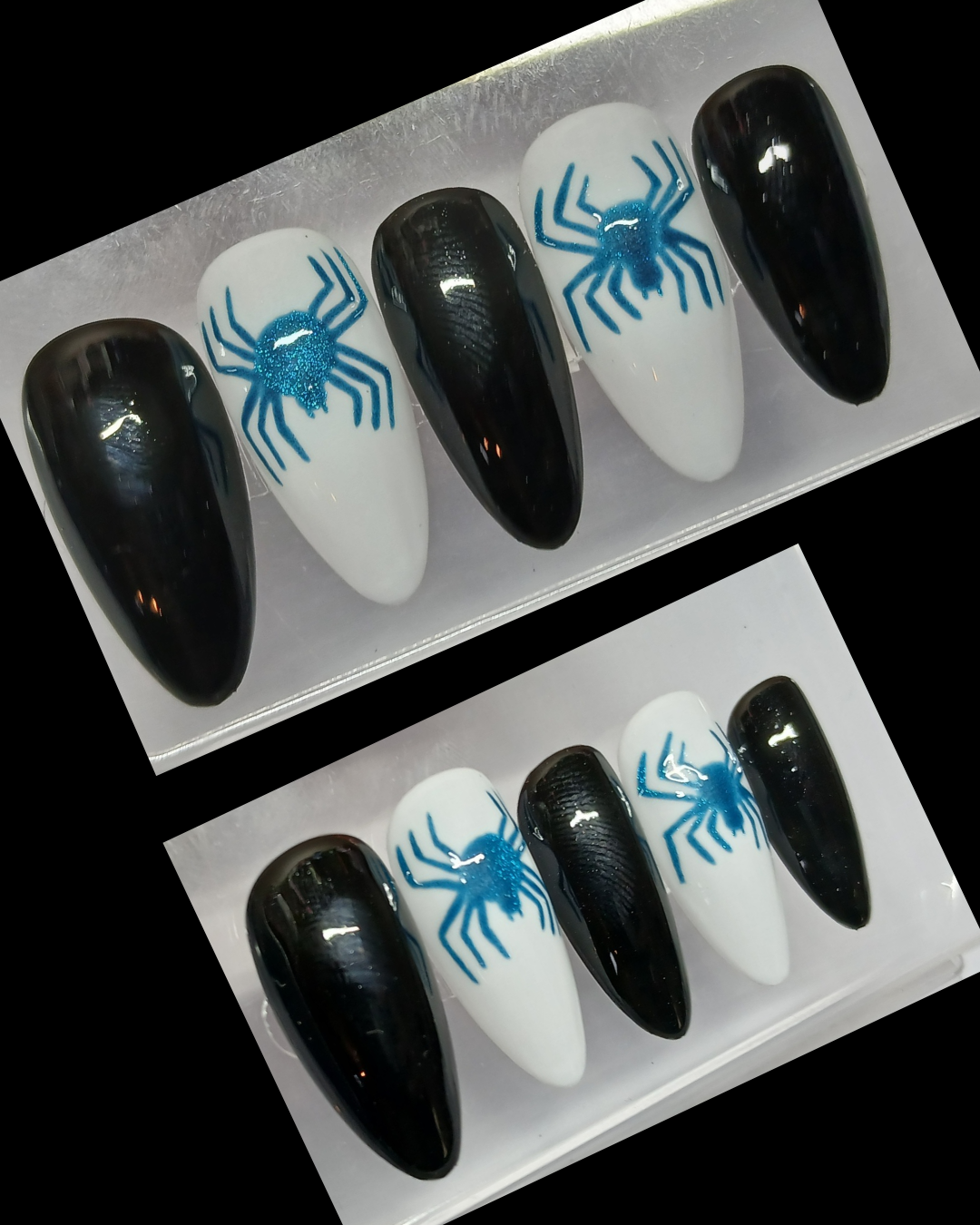 Araignée bleu