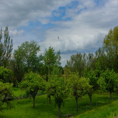 DSC_0896.jpg