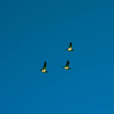 20180207-CopyrightHansFaasse-36.jpg