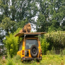 22juni-223-standard.jpg