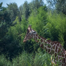 22juni-227-standard.jpg