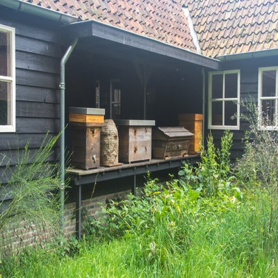 22juni-321-standard.jpg