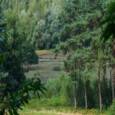 22juni-45-standard.jpg