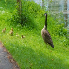 22juni-595-standard.jpg