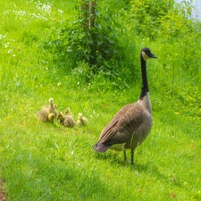 22juni-596-standard.jpg