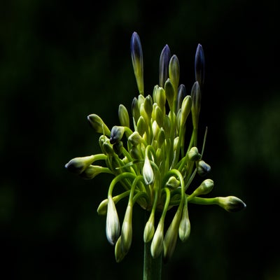 22juni-918-standard.jpg