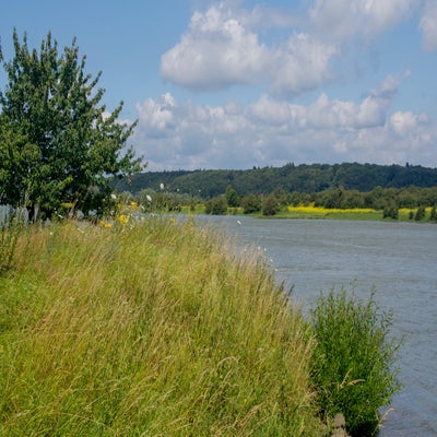 22juni-924-standard.jpg