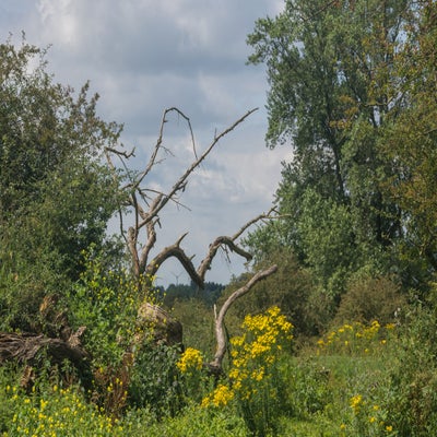 22juni-927-standard.jpg
