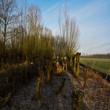 20180130-CopyrightHansFaasse-2.jpg