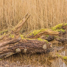 DSC_0103-1.jpg