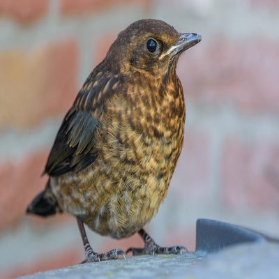 17mei-9.jpg