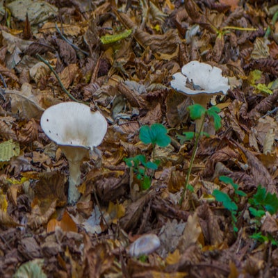 20221027-dsc_9514.jpg