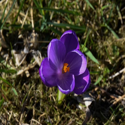 20180320-CopyrightHansFaasse-21.jpg