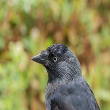 20220829-dsc_8051.jpg