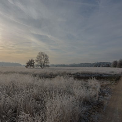 20211222-CopyrightHansFaasse-22.jpg
