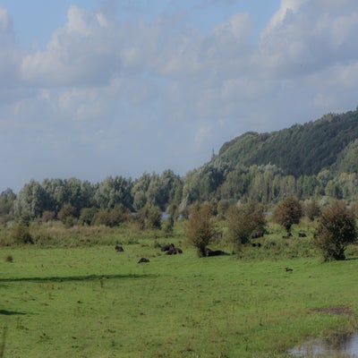 CopyrightHansFaasse-43-2.jpg