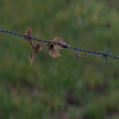 20211216-CopyrightHansFaasse-11.jpg