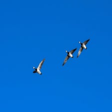20180207-CopyrightHansFaasse-43.jpg