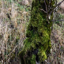 20180122-CopyrightHansFaasse.jpg