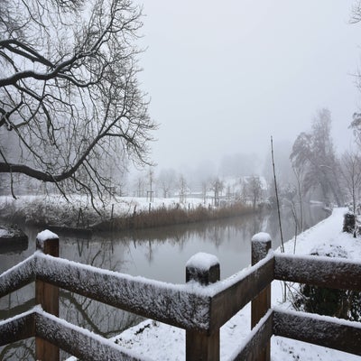 20190131-CopyrightHansFaasse-57-1.jpg