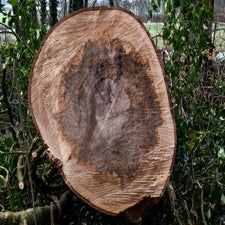 20180205-CopyrightHansFaasse-13.jpg