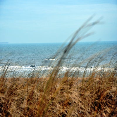dsc_0175-standard.jpg