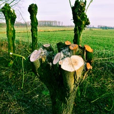 20180130-CopyrightHansFaasse-3.jpg