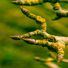 20180122-CopyrightHansFaasse-22.jpg