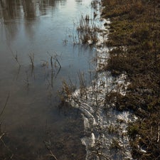 20180207-CopyrightHansFaasse-19.jpg
