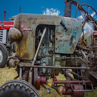 eicher1-standard.jpg
