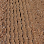 copyrighthansfaasse-2jpg-1.jpg