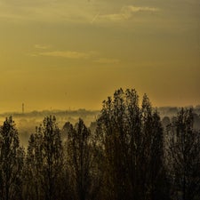 Copyright www.jfpictures.nl72-1.jpg
