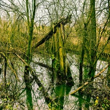 20180122-CopyrightHansFaasse-40.jpg