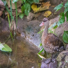 20220829-dsc_8092.jpg