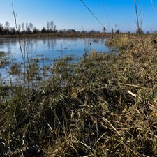 20180207-CopyrightHansFaasse-17.jpg