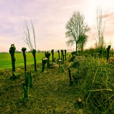 20180130-CopyrightHansFaasse-11.jpg