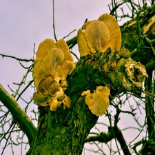20180122-CopyrightHansFaasse-34.jpg