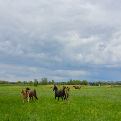 DSC_0916.jpg