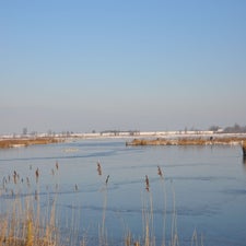 DSC_0284.jpg