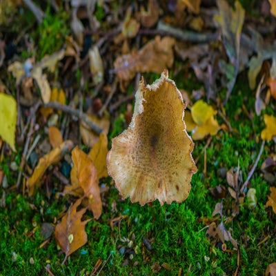 20221027-dsc_9482.jpg