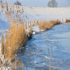 DSC_0285-2.jpg