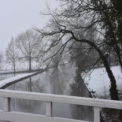 20190131-CopyrightHansFaasse-55-1.jpg