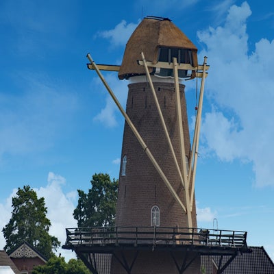 m1-standard.jpg