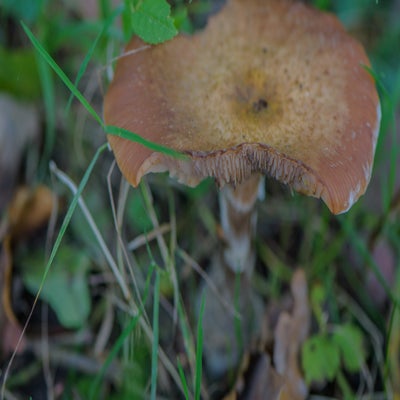 20221022-dsc_9422.jpg