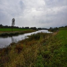 Copyright www.jfpictures.nl62.jpg