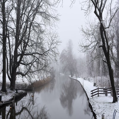 20190131-CopyrightHansFaasse-56-1.jpg
